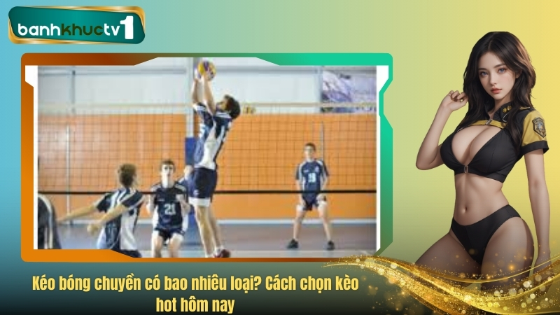 Kéo bóng chuyền có bao nhiêu loại? Cách chọn kèo hot hôm nay